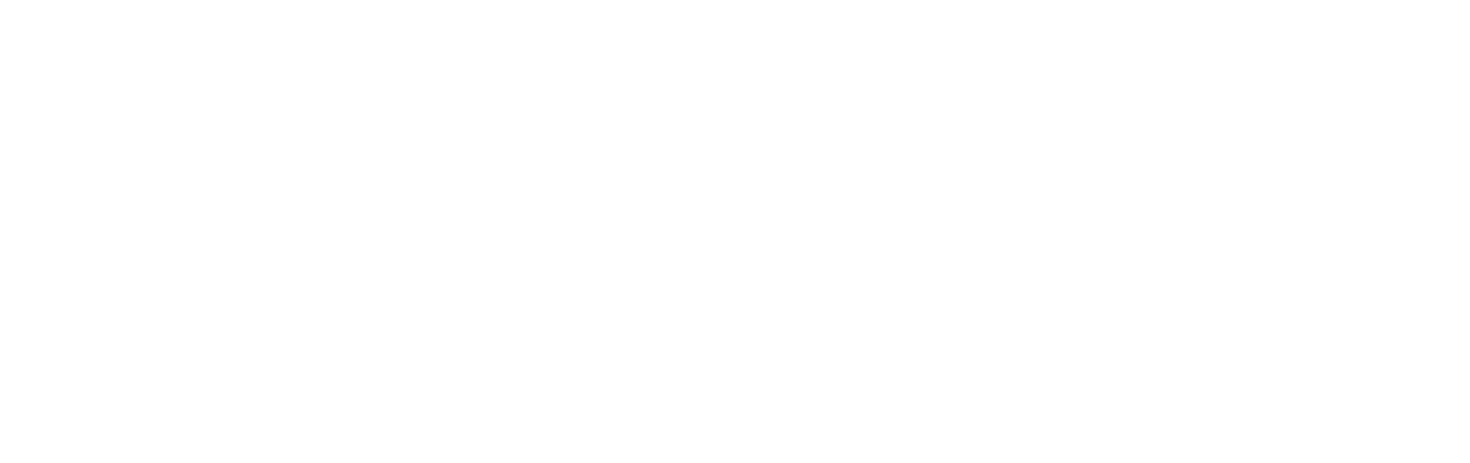 LAVO Tampa